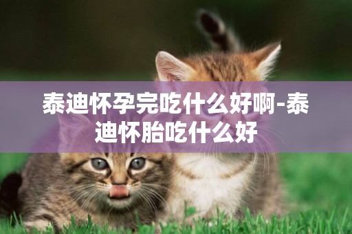 泰迪懷孕完吃什么好啊-泰迪懷胎吃什么好