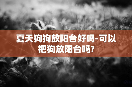 夏天狗狗放陽臺好嗎-可以把狗放陽臺嗎?