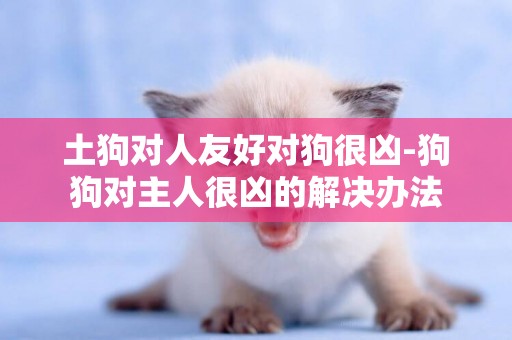 土狗對人友好對狗很兇-狗狗對主人很兇的解決辦法
