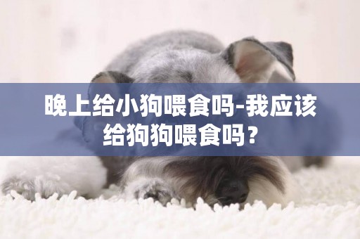 晚上給小狗喂食嗎-我應該給狗狗喂食嗎？