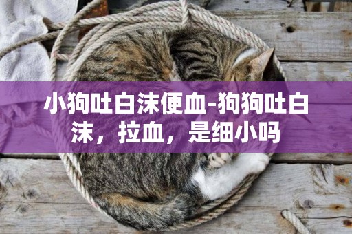 小狗吐白沫便血-狗狗吐白沫，拉血，是細小嗎