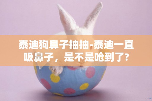 泰迪狗鼻子抽抽-泰迪一直吸鼻子，是不是嗆到了?