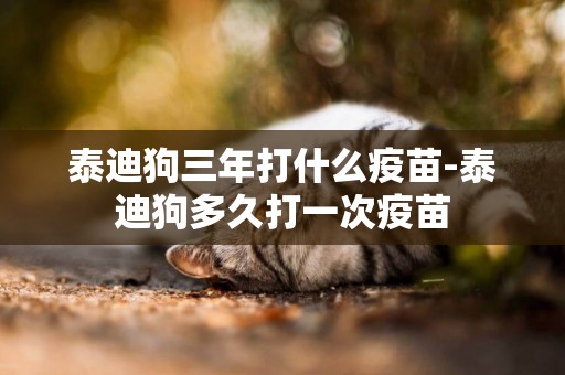 泰迪狗三年打什么疫苗-泰迪狗多久打一次疫苗