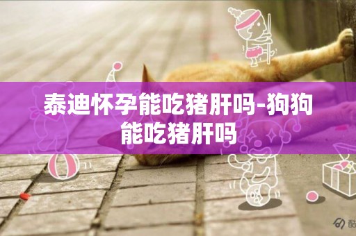 泰迪懷孕能吃豬肝嗎-狗狗能吃豬肝嗎