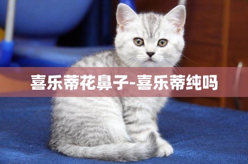 喜樂蒂花鼻子-喜樂蒂純嗎