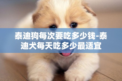泰迪狗每次要吃多少錢-泰迪犬每天吃多少最適宜
