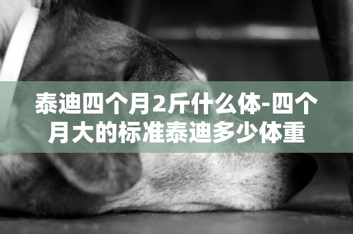 泰迪四個月2斤什么體-四個月大的標準泰迪多少體重