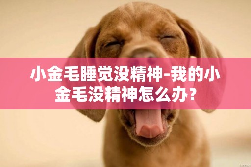 小金毛睡覺沒精神-我的小金毛沒精神怎么辦？