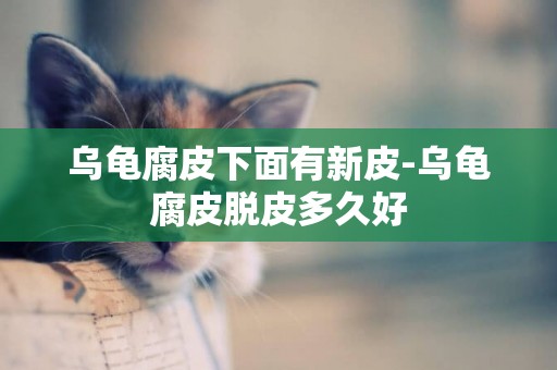 烏龜腐皮下面有新皮-烏龜腐皮脫皮多久好