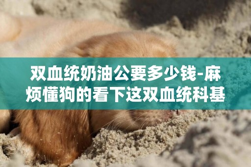 雙血統奶油公要多少錢-麻煩懂狗的看下這雙血統科基值多少錢啊