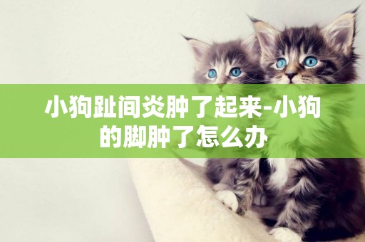 小狗趾間炎腫了起來-小狗的腳腫了怎么辦