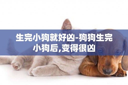 生完小狗就好兇-狗狗生完小狗后,變得很兇