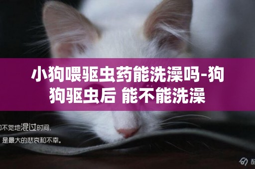 小狗喂驅蟲藥能洗澡嗎-狗狗驅蟲后 能不能洗澡