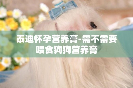 泰迪懷孕營養膏-需不需要喂食狗狗營養膏