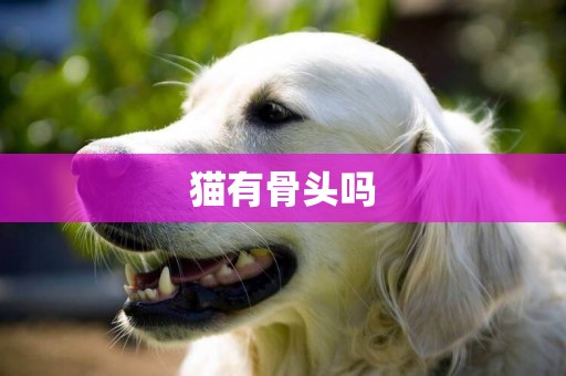貓有骨頭嗎