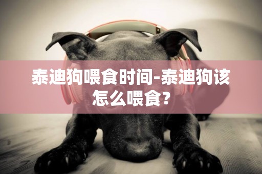 泰迪狗喂食時間-泰迪狗該怎么喂食？