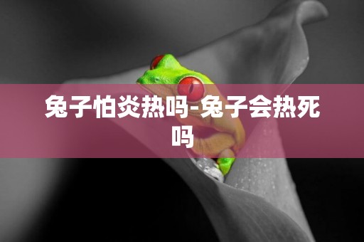 兔子怕炎熱嗎-兔子會熱死嗎