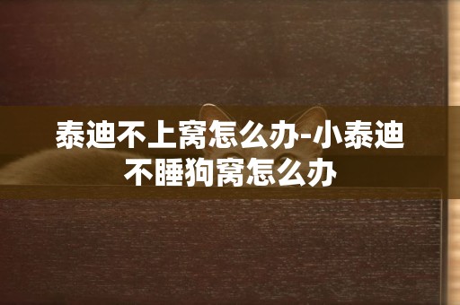 泰迪不上窩怎么辦-小泰迪不睡狗窩怎么辦