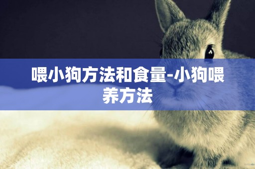 喂小狗方法和食量-小狗喂養方法