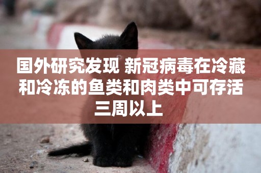 國外研究發現 新冠病毒在冷藏和冷凍的魚類和肉類中可存活三周以上 