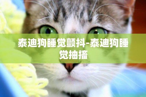 泰迪狗睡覺顫抖-泰迪狗睡覺抽搐