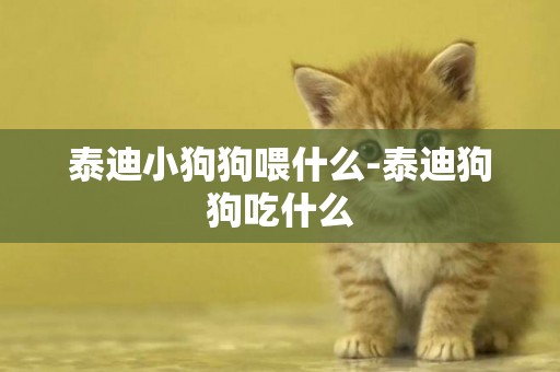 泰迪小狗狗喂什么-泰迪狗狗吃什么