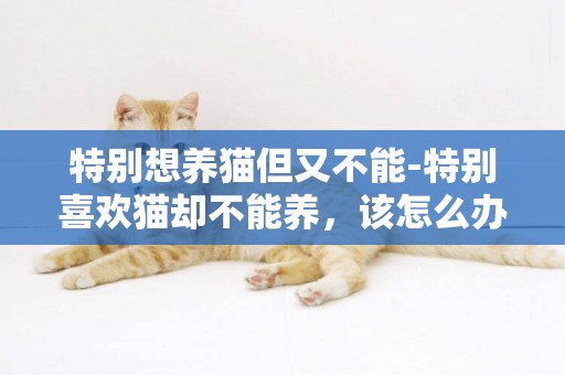 特別想養貓但又不能-特別喜歡貓卻不能養，該怎么辦？