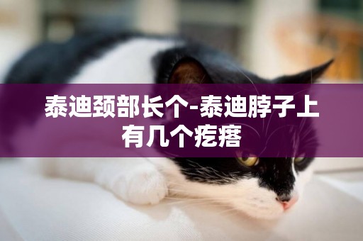 泰迪頸部長個-泰迪脖子上有幾個疙瘩