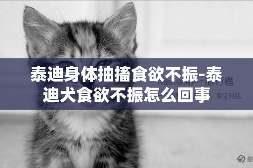 泰迪身體抽搐食欲不振-泰迪犬食欲不振怎么回事
