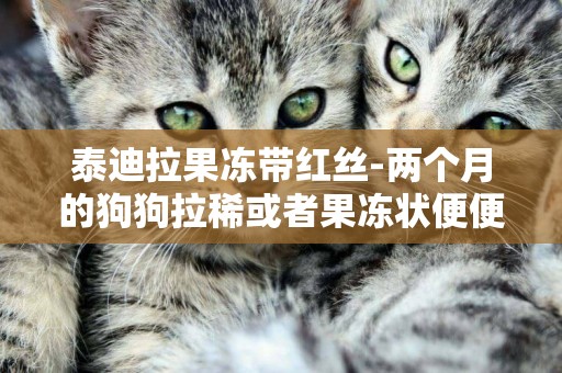 泰迪拉果凍帶紅絲-兩個月的狗狗拉稀或者果凍狀便便，帶鮮紅血絲。