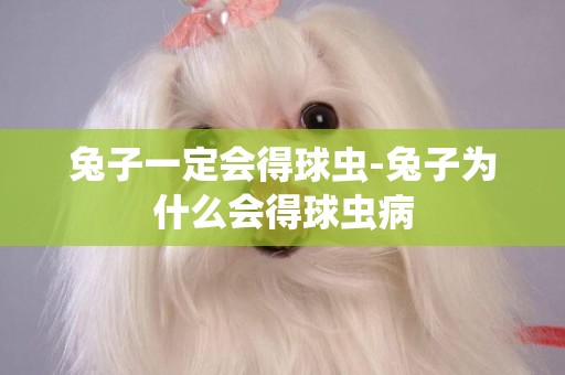 兔子一定會得球蟲-兔子為什么會得球蟲病