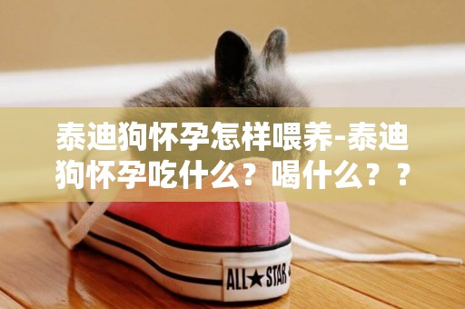 泰迪狗懷孕怎樣喂養-泰迪狗懷孕吃什么？喝什么？？