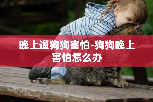 晚上遛狗狗害怕-狗狗晚上害怕怎么辦