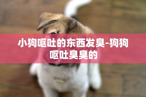 小狗嘔吐的東西發臭-狗狗嘔吐臭臭的