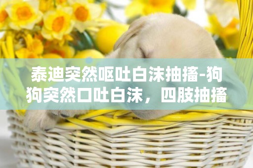 泰迪突然嘔吐白沫抽搐-狗狗突然口吐白沫，四肢抽搐，連續幾次，最后死亡.怎么回事？