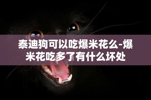 泰迪狗可以吃爆米花么-爆米花吃多了有什么壞處