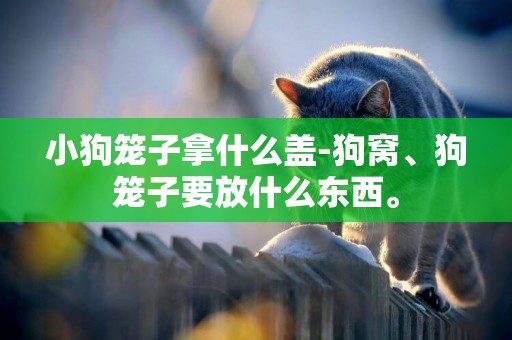 小狗籠子拿什么蓋-狗窩、狗籠子要放什么東西。