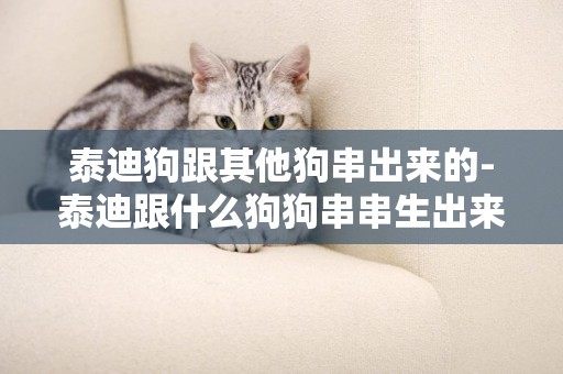 泰迪狗跟其他狗串出來的-泰迪跟什么狗狗串串生出來的小狗比較好?