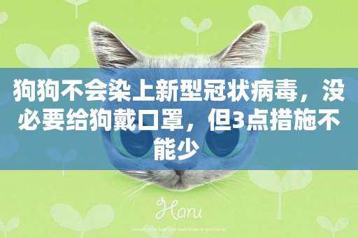 狗狗不會染上新型冠狀病毒，沒必要給狗戴口罩，但3點措施不能少 