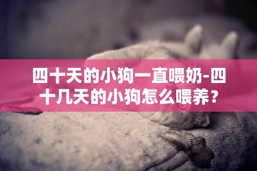 四十天的小狗一直喂奶-四十幾天的小狗怎么喂養？
