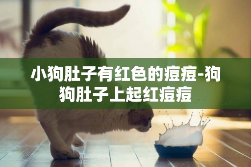 小狗肚子有紅色的痘痘-狗狗肚子上起紅痘痘