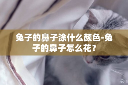 兔子的鼻子涂什么顏色-兔子的鼻子怎么花？