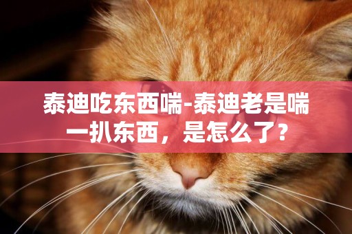泰迪吃東西喘-泰迪老是喘一扒東西，是怎么了？
