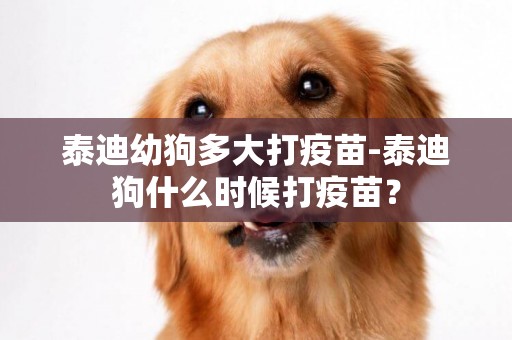 泰迪幼狗多大打疫苗-泰迪狗什么時候打疫苗？