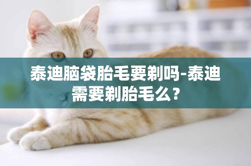 泰迪腦袋胎毛要剃嗎-泰迪需要剃胎毛么？