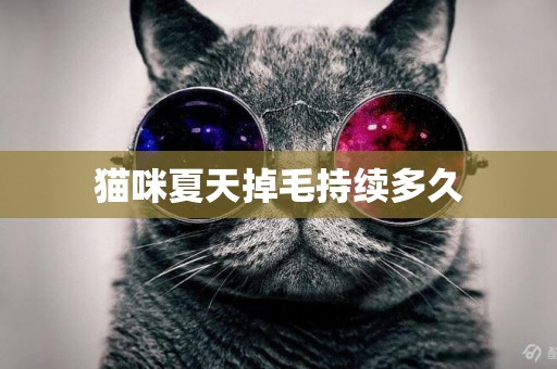 貓咪夏天掉毛持續多久