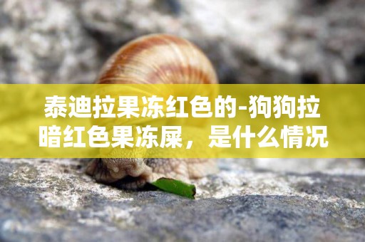 泰迪拉果凍紅色的-狗狗拉暗紅色果凍屎，是什么情況，有危害嗎