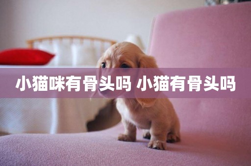 小貓咪有骨頭嗎 小貓有骨頭嗎