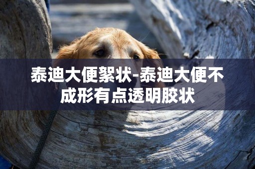 泰迪大便絮狀-泰迪大便不成形有點透明膠狀