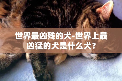 世界最兇殘的犬-世界上最兇猛的犬是什么犬？
